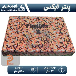 نقطه زن تصویری پنتر ایکس